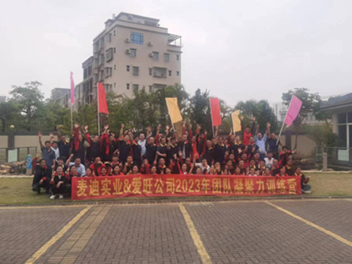 麥迪精創開年啟動團建